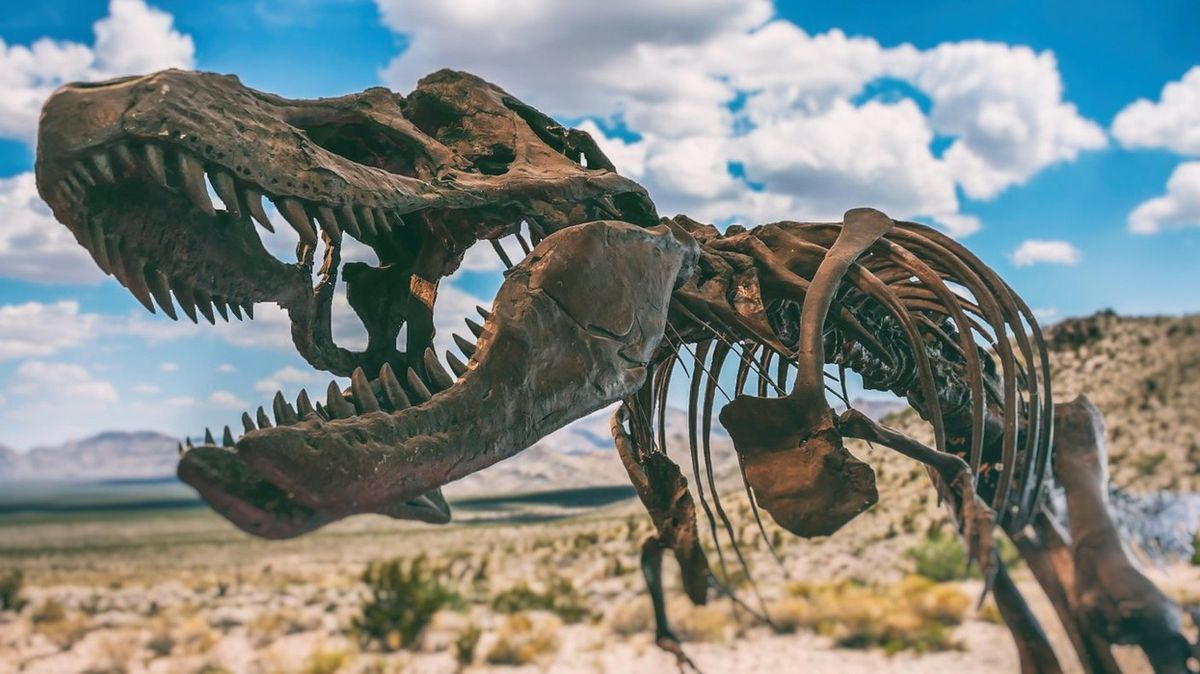 Mimořádně silný skus dravých dinosaurů umožnily menší oční důlky